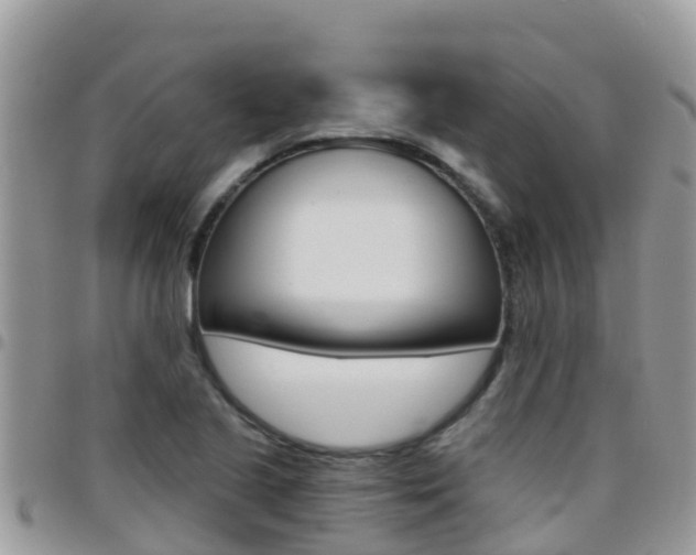 X0000096161221200801180844