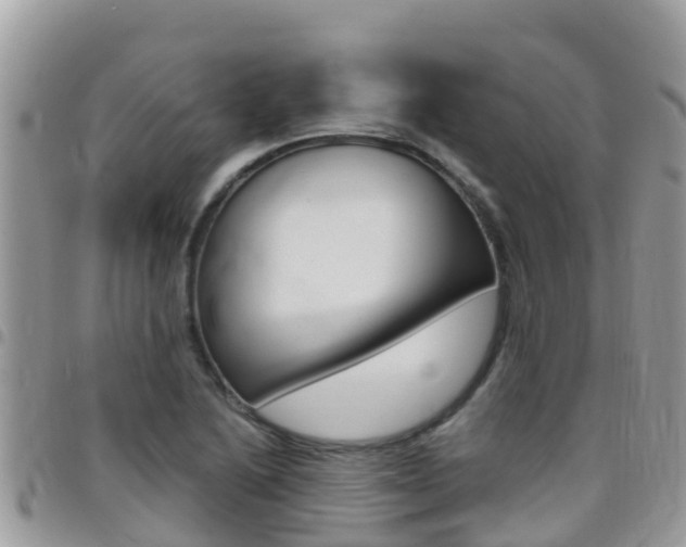 X0000096161222200801180844