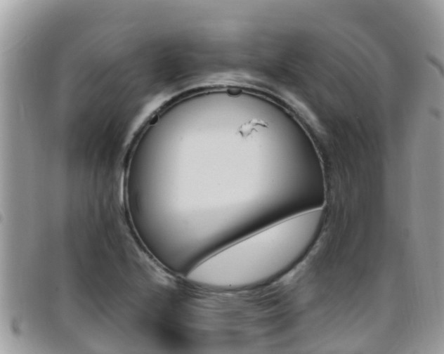 X0000096161224200801180844
