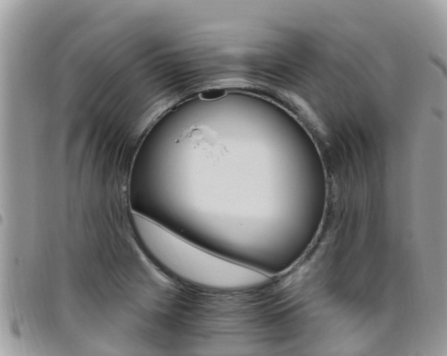 X0000096161225200801180844