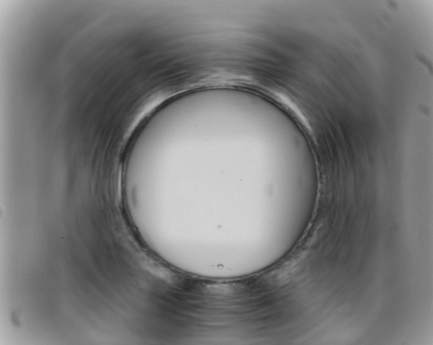 X0000096161227200801180844