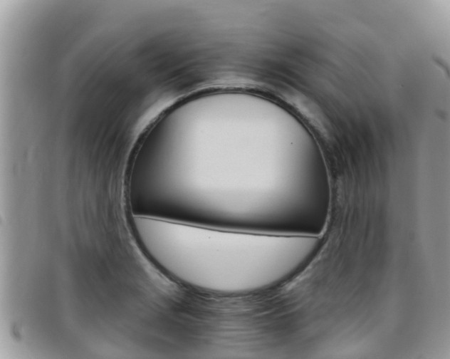 X0000096161229200801180844