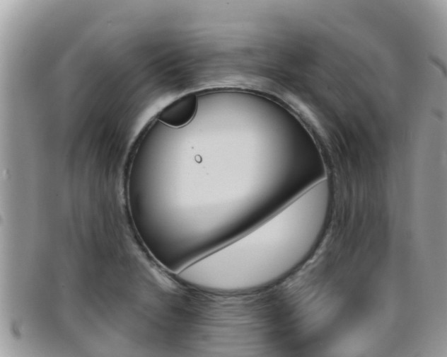 X0000096161230200801180844