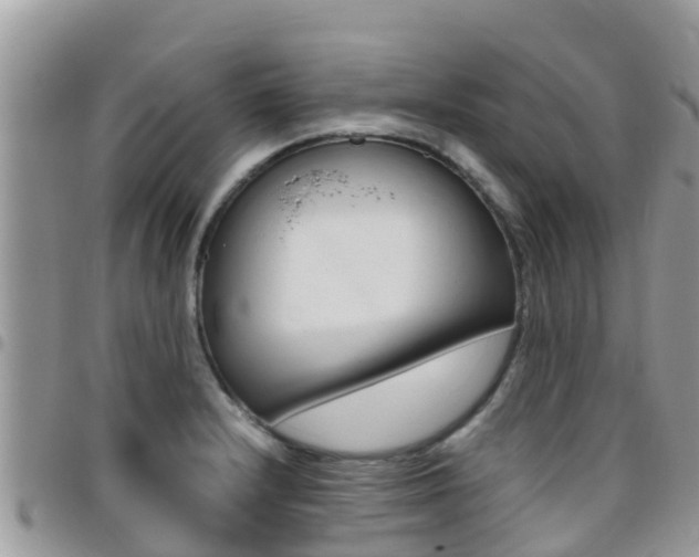 X0000096161232200801180844