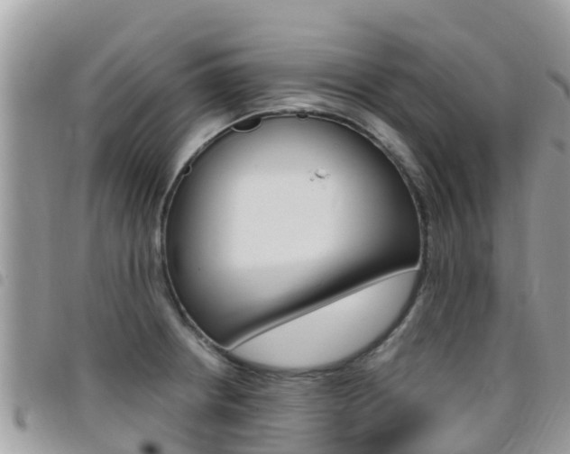X0000096161234200801180844