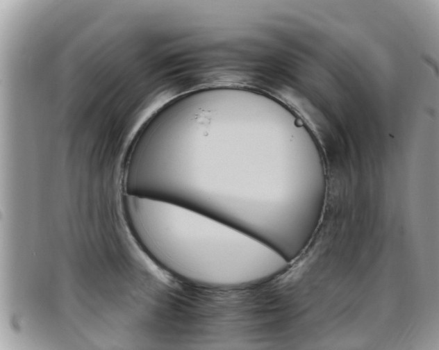 X0000096161235200801180844