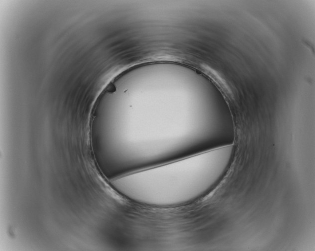X0000096161236200801180844