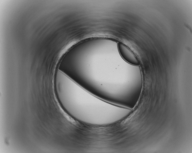 X0000096161237200801180844