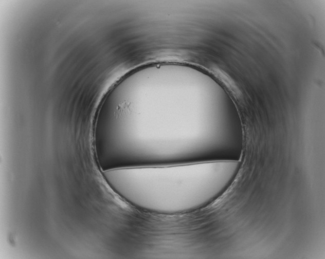 X0000096161240200801180844
