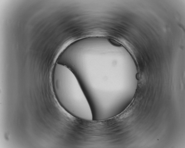 X0000096161243200801180844