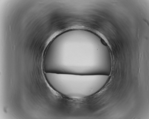X0000096161245200801180844