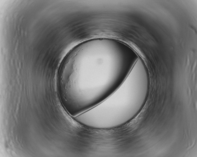 X0000096161246200801180844