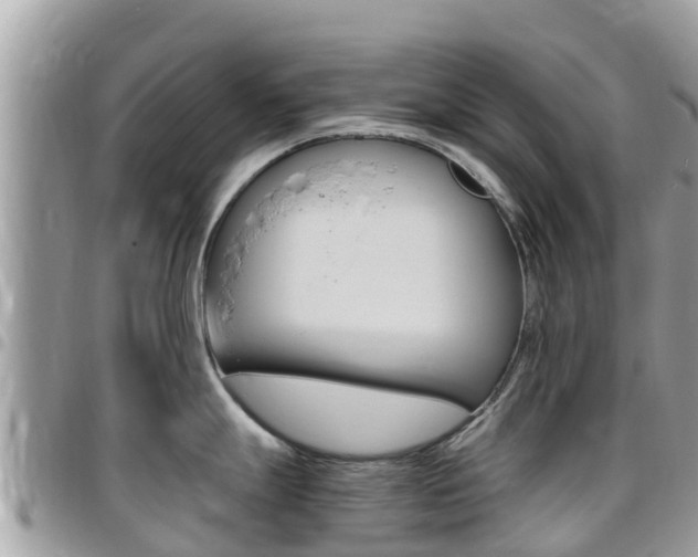 X0000096161247200801180844