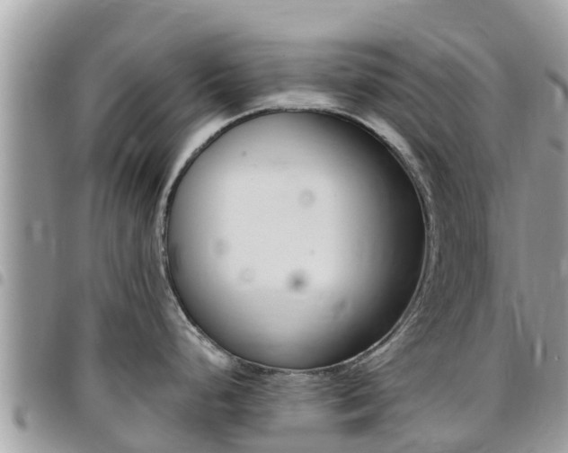X0000096161248200801180844