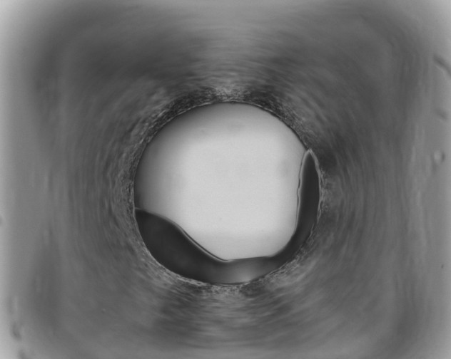 X0000096161249200801180844