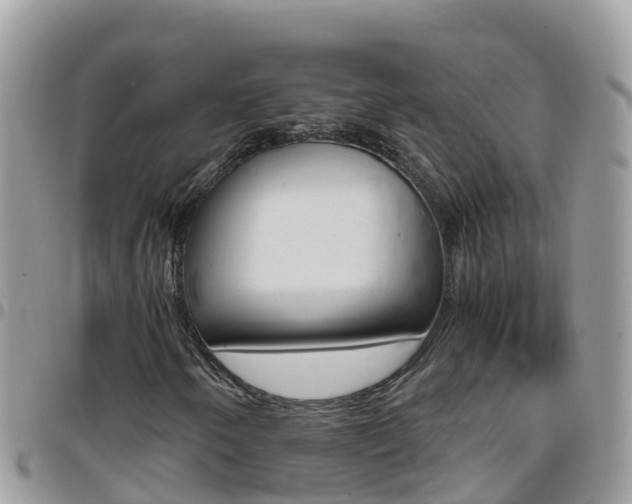 X0000096161250200801180844