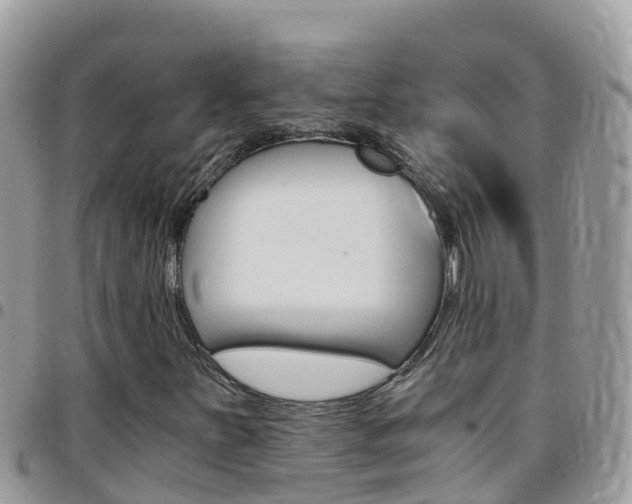 X0000096161251200801180844