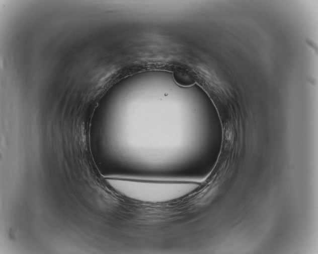 X0000096161252200801180844
