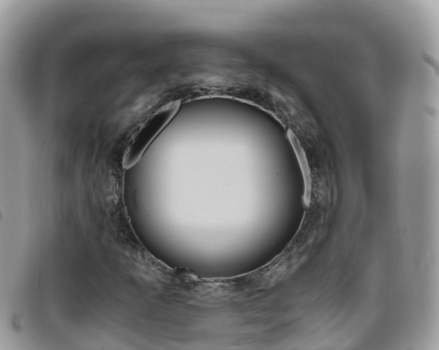 X0000096161253200801180844