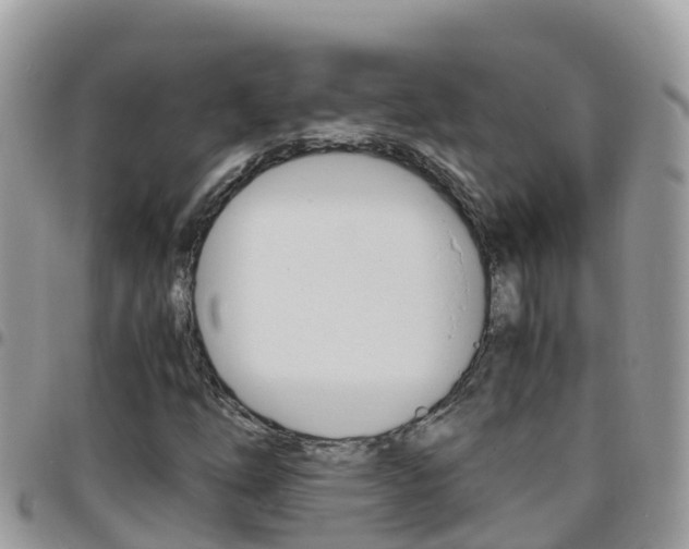 X0000096161254200801180844