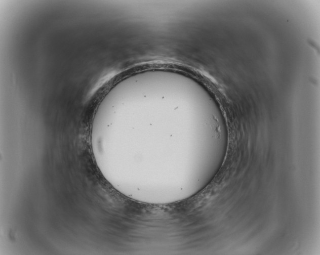 X0000096161255200801180844
