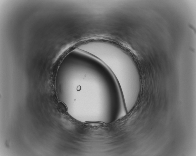 X0000096161256200801180844