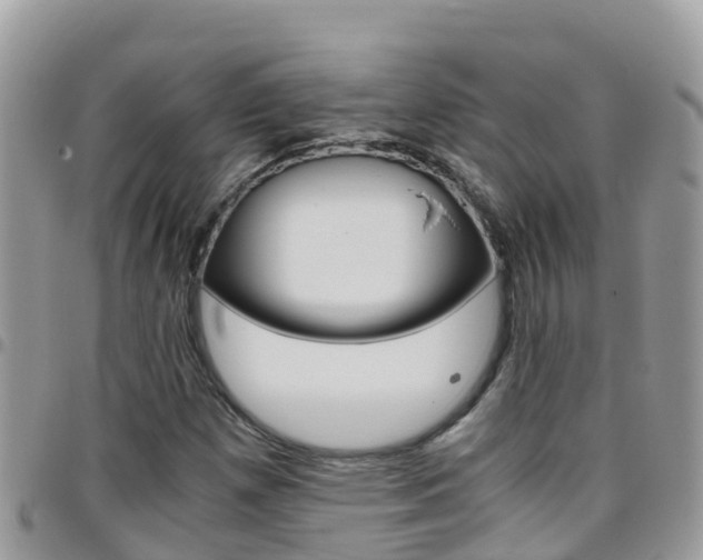 X0000096161257200801180844
