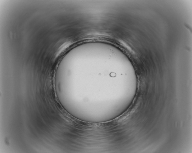 X0000096161259200801180844