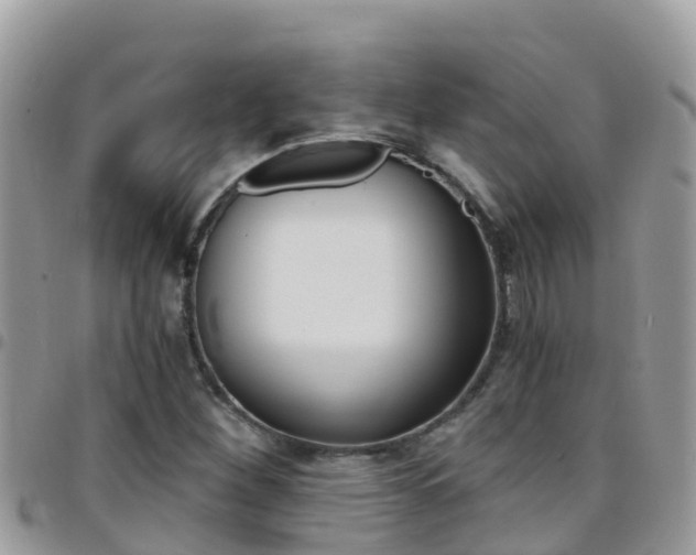 X0000096161260200801180844