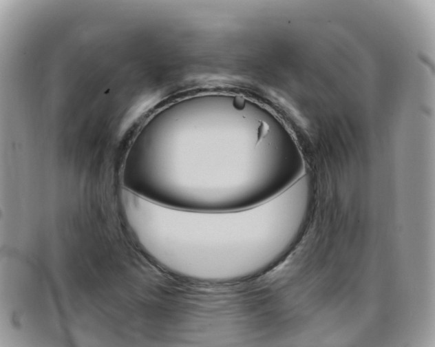 X0000096161261200801180844