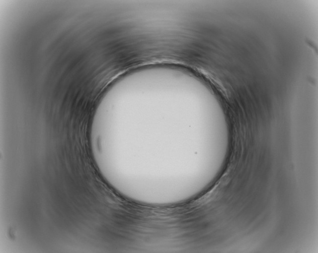 X0000096161265200801180843