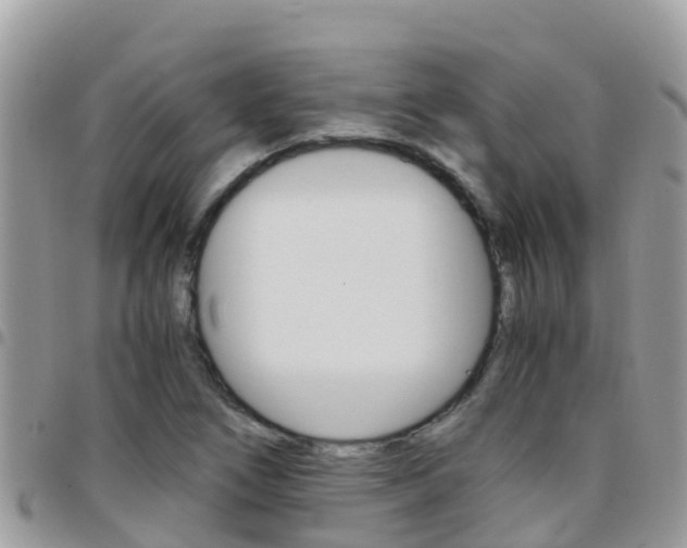 X0000096161266200801180843