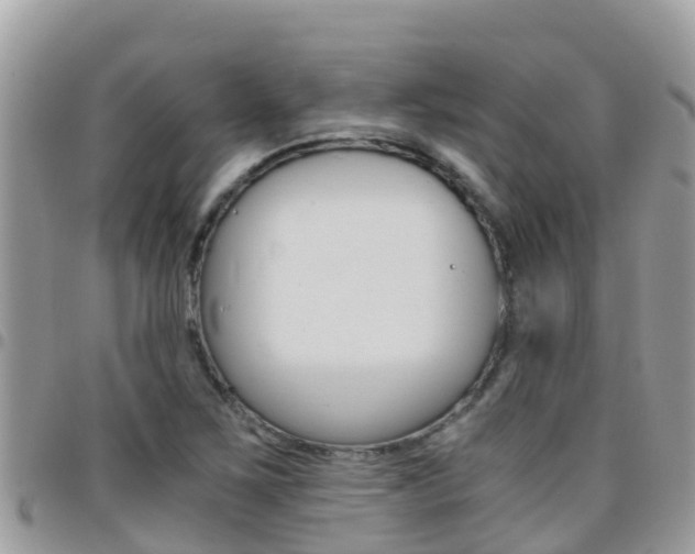 X0000096161267200801180843