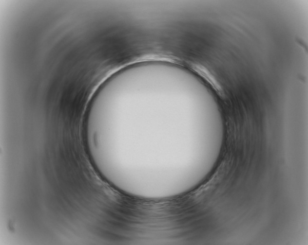 X0000096161268200801180843