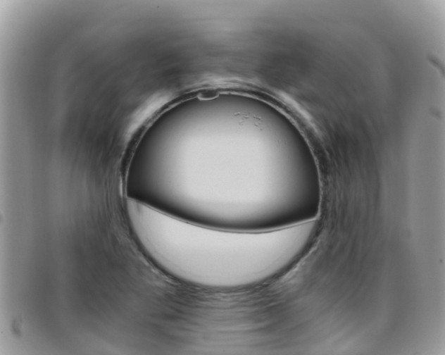 X0000096161269200801180843