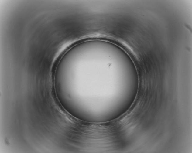 X0000096161270200801180843