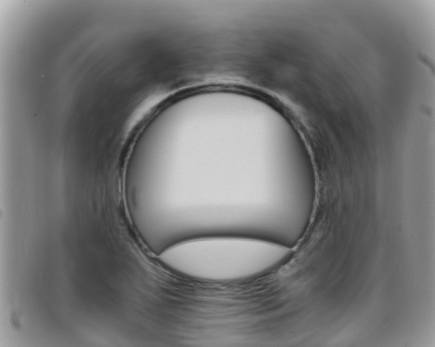 X0000096161271200801180843