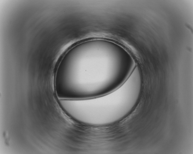X0000096161272200801180843