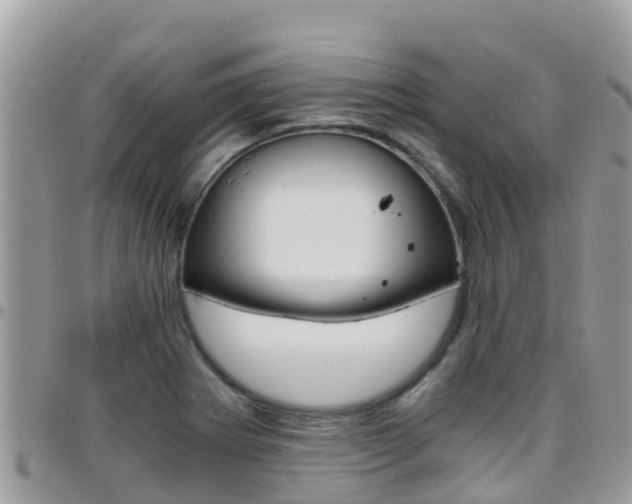 X0000096161273200801180843