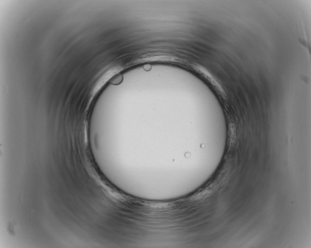 X0000096161274200801180843