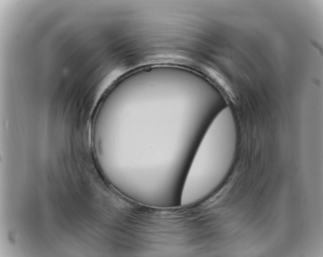 X0000096161275200801180843