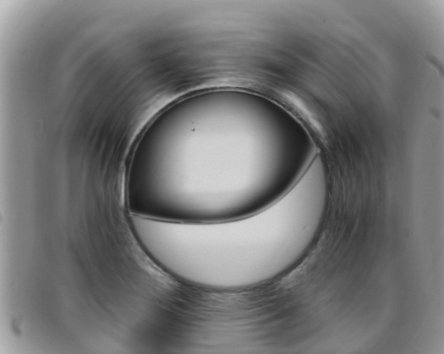 X0000096161276200801180843