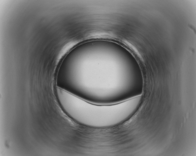 X0000096161277200801180843