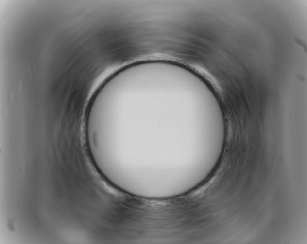 X0000096161278200801180843