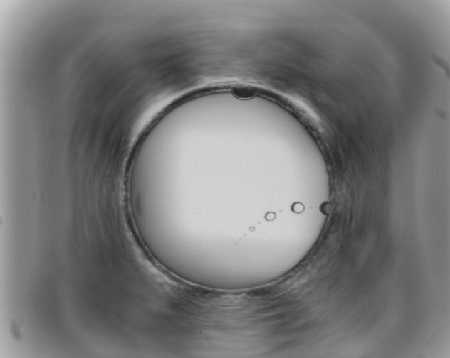 X0000096161279200801180843