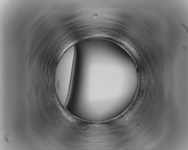 X0000096161281200801180843