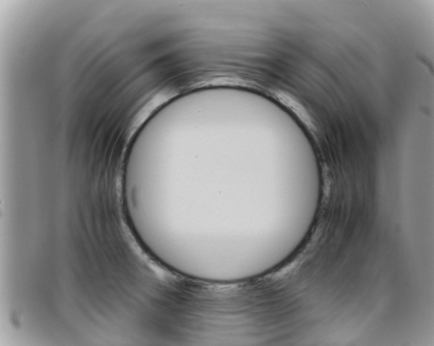 X0000096161282200801180843