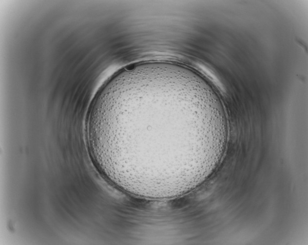 X0000096161283200801180843