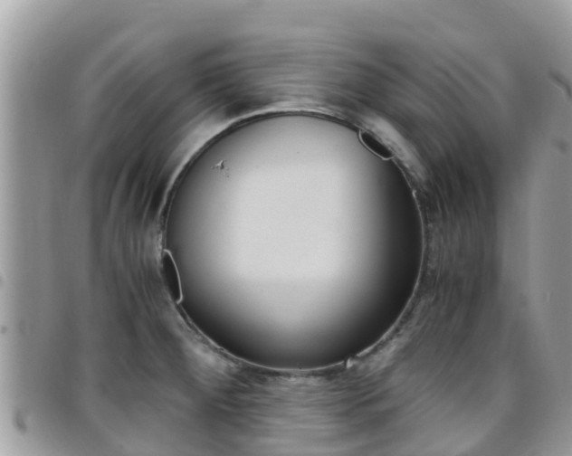 X0000096161284200801180843