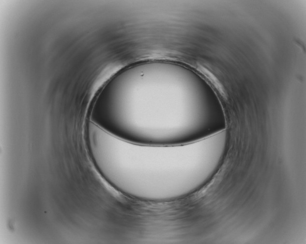 X0000096161285200801180843